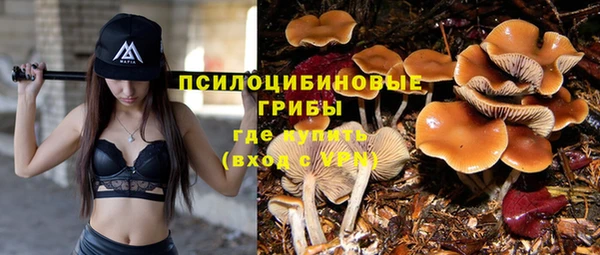 твердый Белокуриха