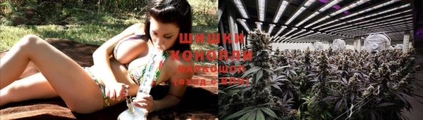 твердый Белокуриха
