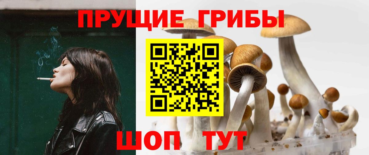 Галлюциногенные грибы GOLDEN TEACHER Волжск